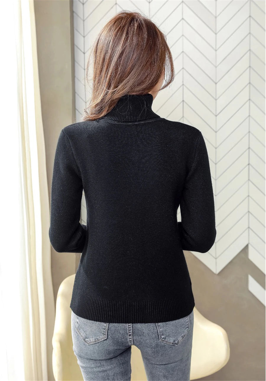 Thick Velvet Lined Warm Sueter Knitted Pullover Turtleneck